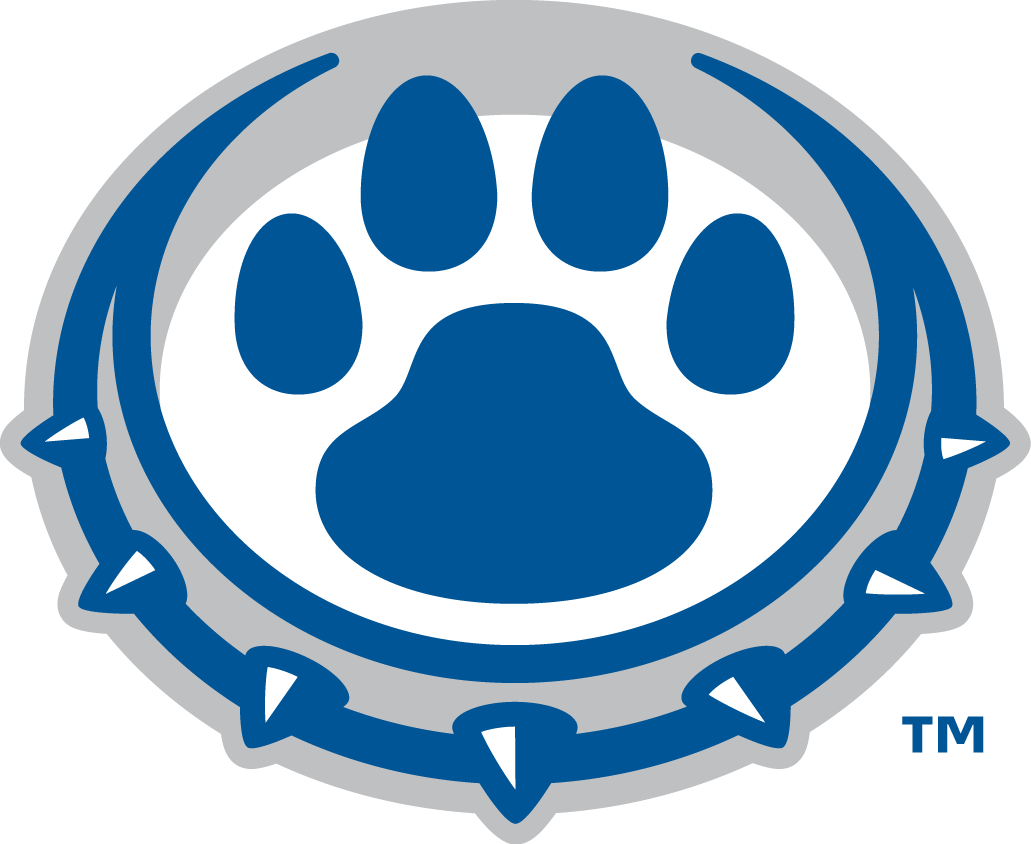 Drake Bulldogs 2015-Pres Alternate Logo DIY iron on transfer (heat transfer)